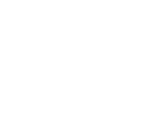PIT Academy
